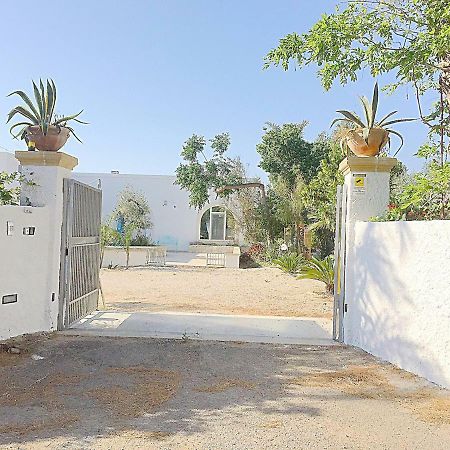 Casa Giada B&B ガリポリ エクステリア 写真
